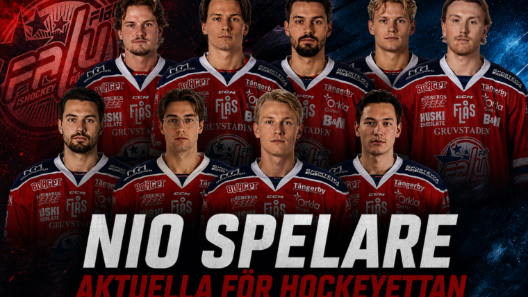 Nio FIF-spelare som skulle kunna locka intresse i Hockeyettan